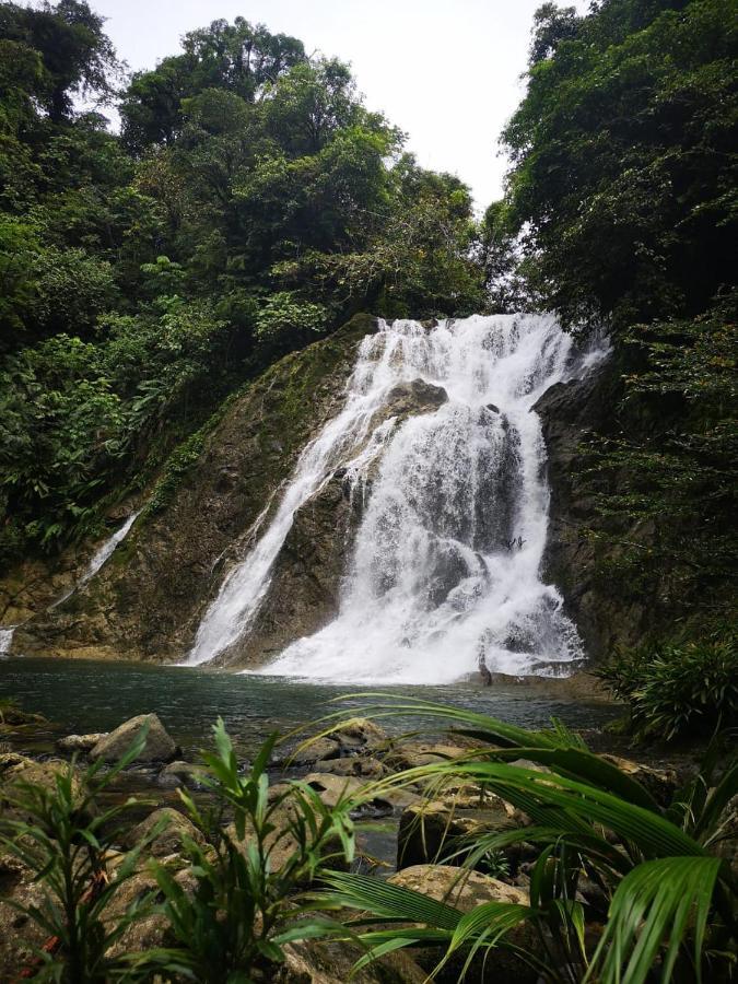 Reserva Natural Selva Mojada Nuquí Esterno foto